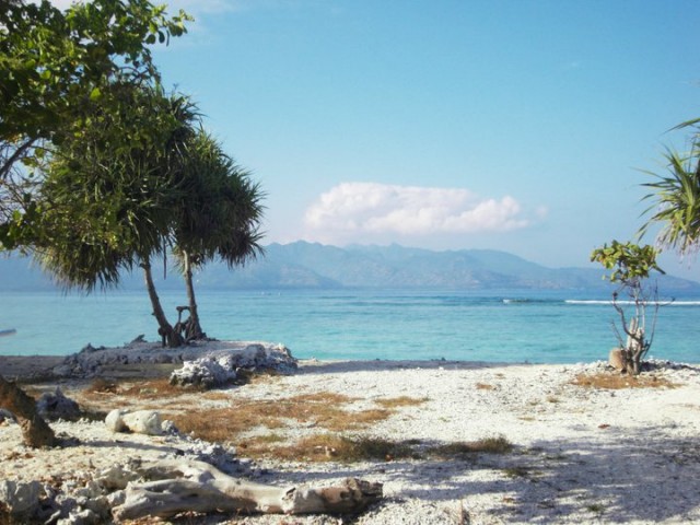 Gili-Trawangan-plage-corail